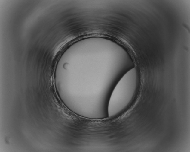 X0000102031117200807181000