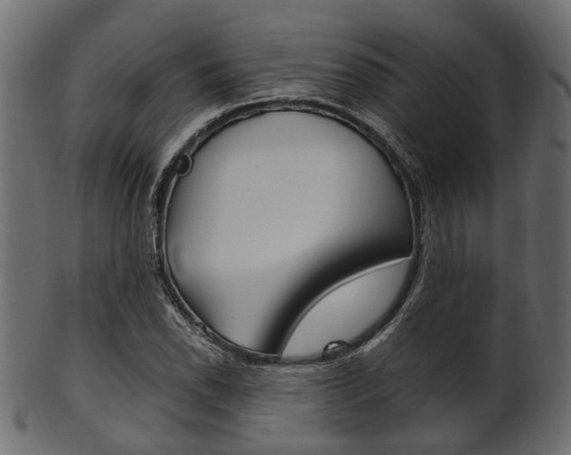 X0000102031118200807181000