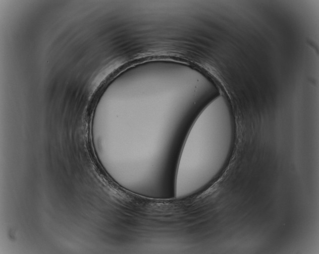 X0000102031119200807181000