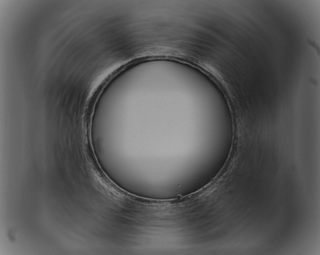 X0000102031120200807181000