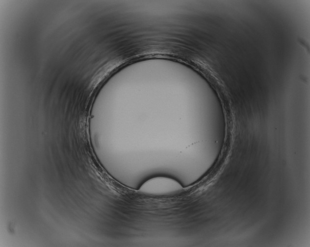 X0000102031121200807181000
