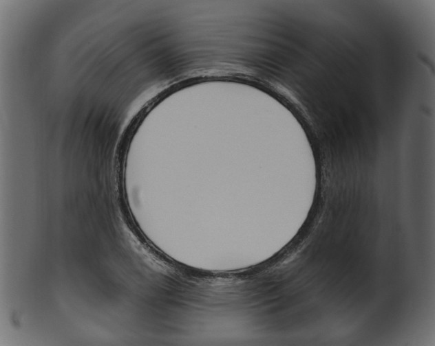 X0000102031122200807181000
