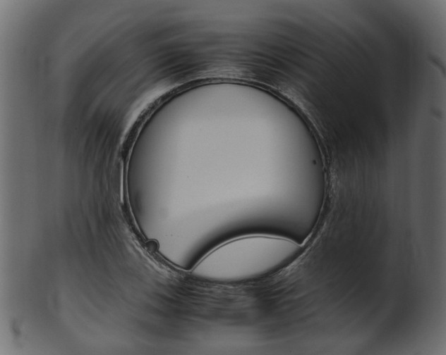 X0000102031123200807181000