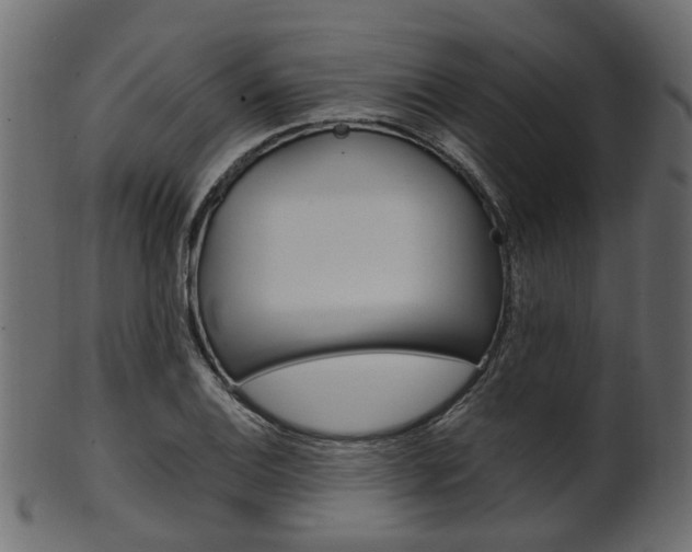 X0000102031124200807181000