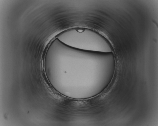 X0000102031125200807181000