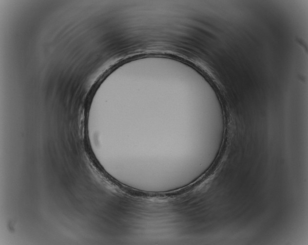 X0000102031126200807181000