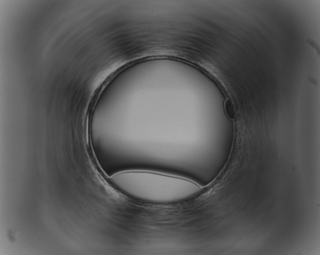 X0000102031127200807181000