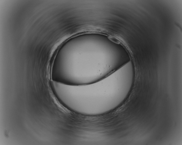 X0000102031128200807181000