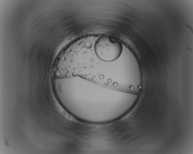 X0000102031130200807181000