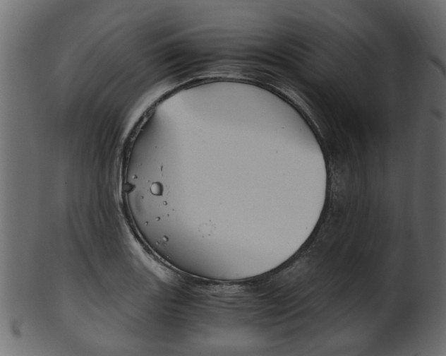X0000102031131200807181000