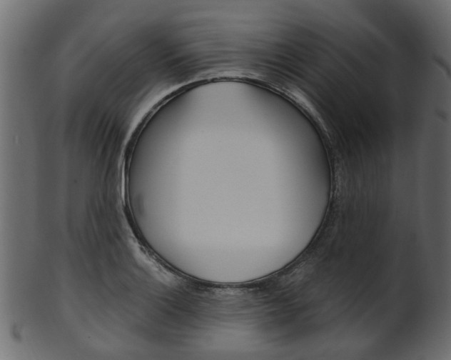 X0000102031132200807181000