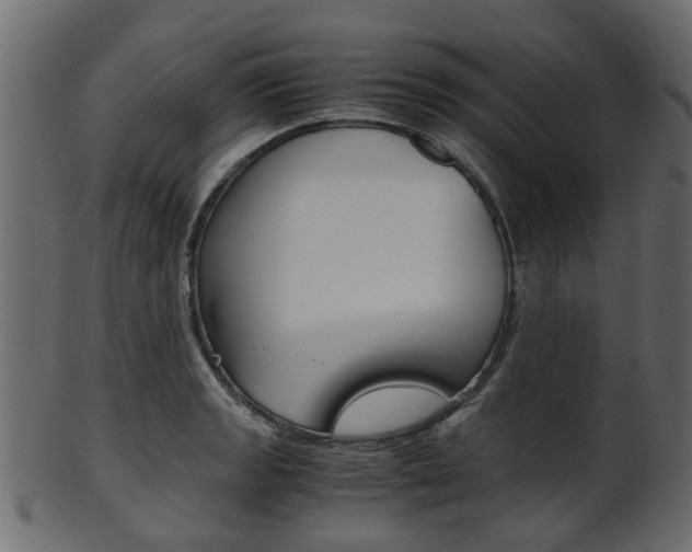 X0000102031133200807181000