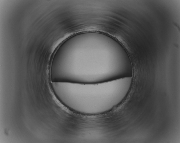 X0000102031134200807181000