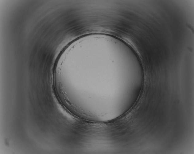X0000102031136200807181000