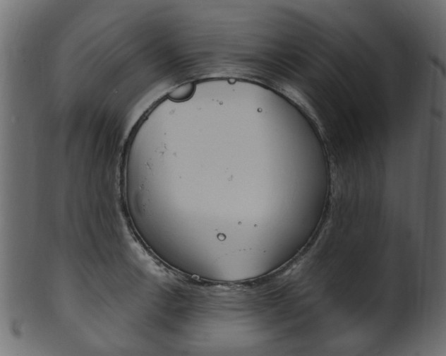 X0000102031138200807181000