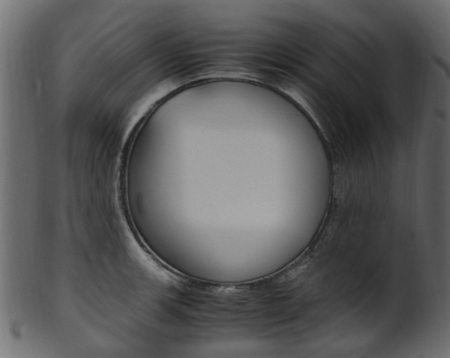 X0000102031139200807181000