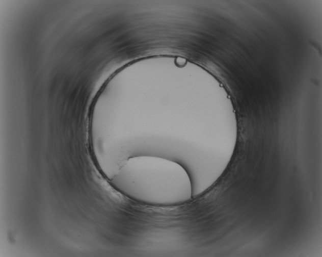 X0000102031140200807181000