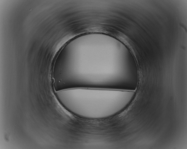 X0000102031141200807181000