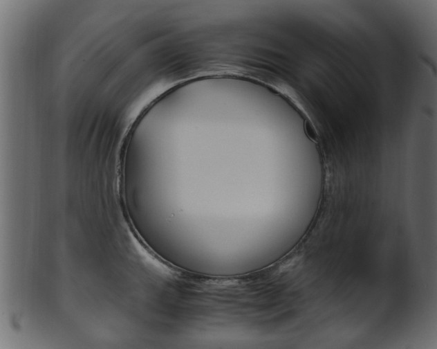 X0000102031143200807181000