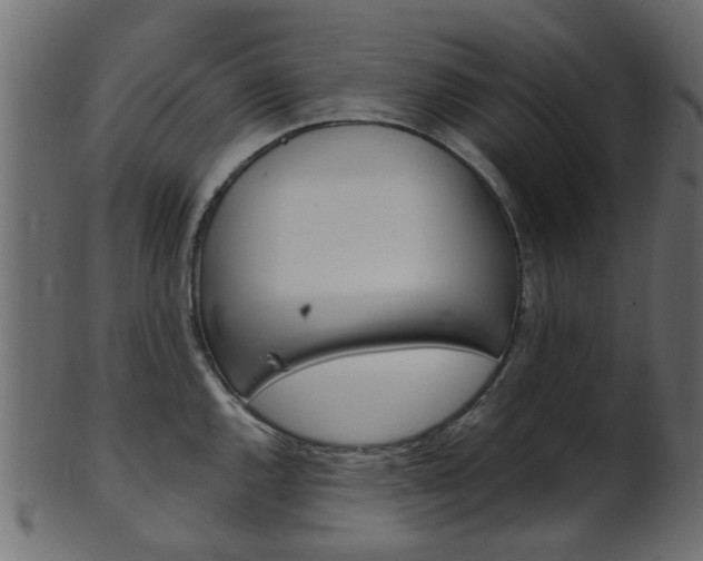 X0000102031144200807181000