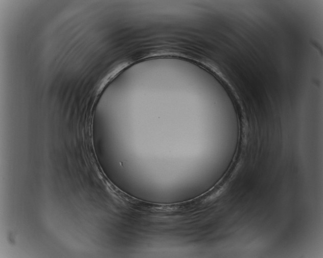 X0000102031145200807181000