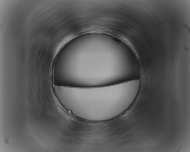 X0000102031146200807181000