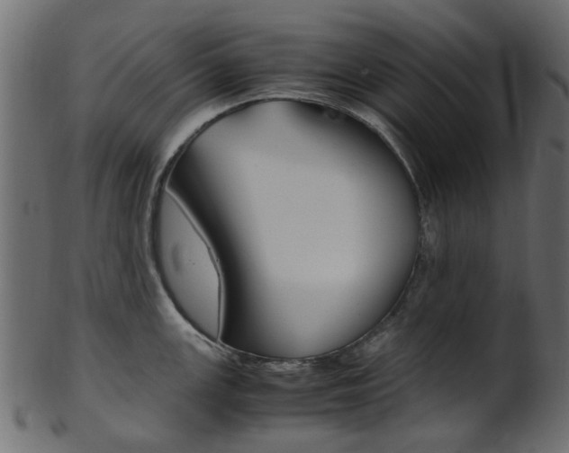X0000102031147200807181000
