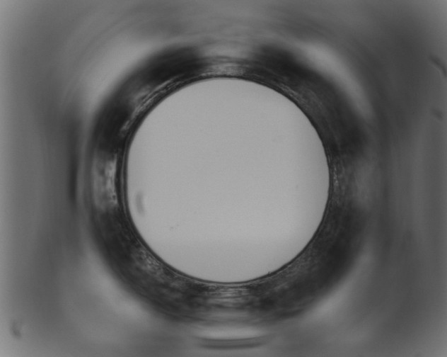 X0000102031150200807181000