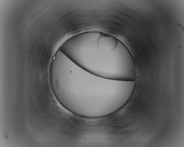 X0000102031151200807181000