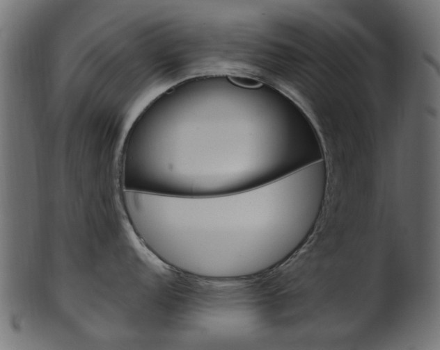 X0000102031152200807181000
