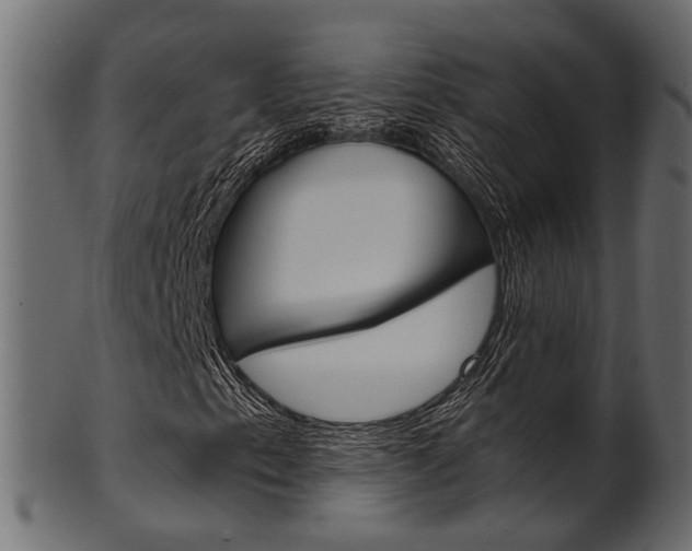 X0000102031153200807180959