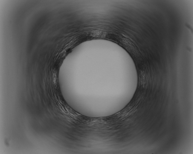 X0000102031154200807180959
