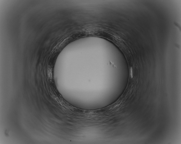 X0000102031155200807180959