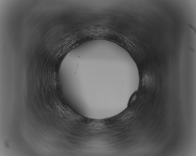X0000102031156200807180959