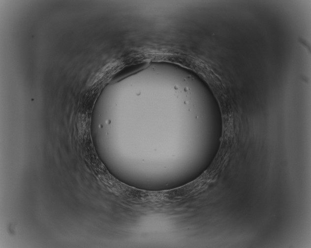 X0000102031157200807180959