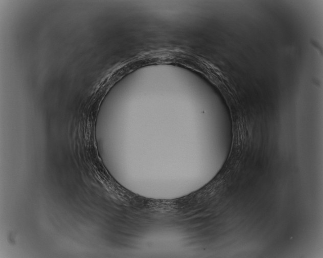 X0000102031158200807180959
