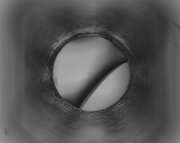 X0000102031160200807180959