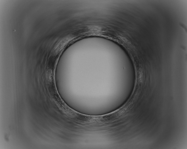 X0000102031161200807180959