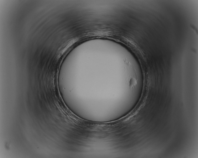 X0000102031162200807180959