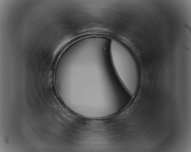 X0000102031164200807180959