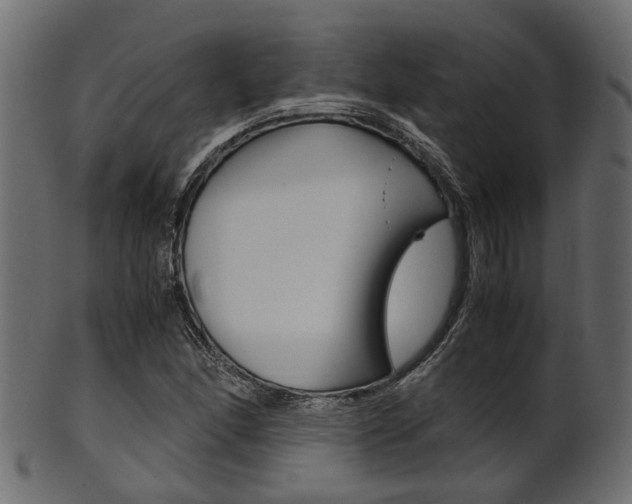 X0000102031166200807180959