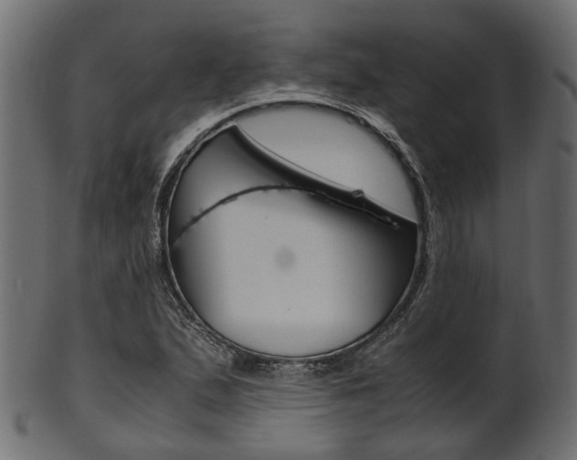 X0000102031167200807180959