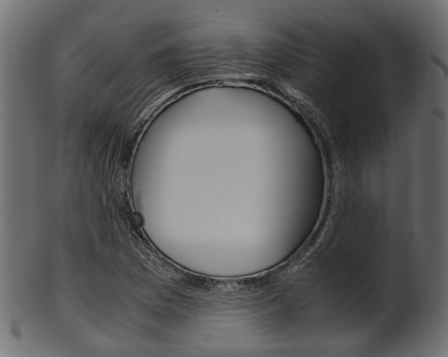 X0000102031169200807180959