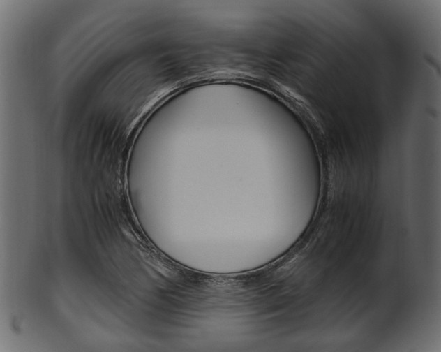 X0000102031170200807180959