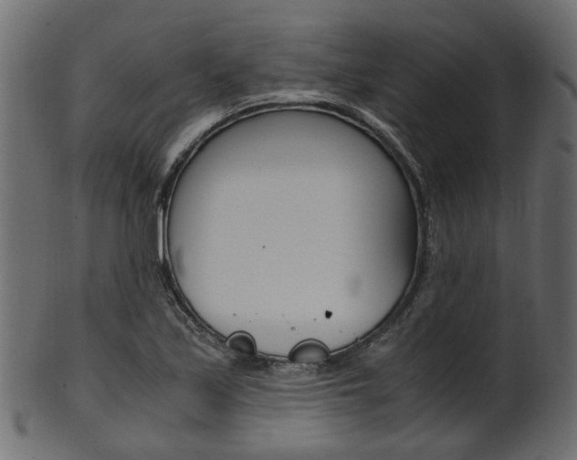 X0000102031171200807180959