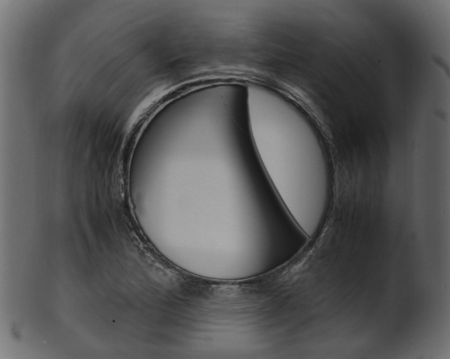 X0000102031172200807180959