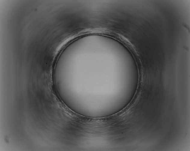X0000102031174200807180959
