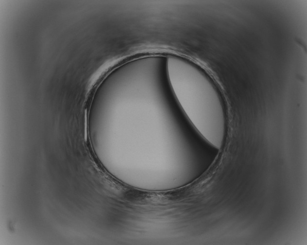 X0000102031175200807180959