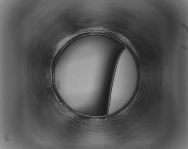 X0000102031176200807180959