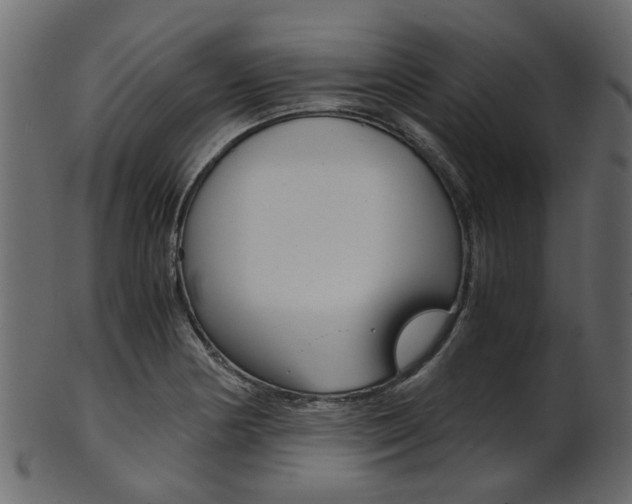 X0000102031178200807180959